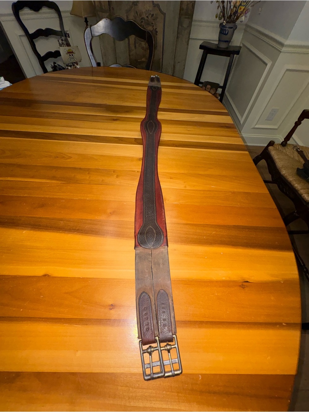 CWD horse girth